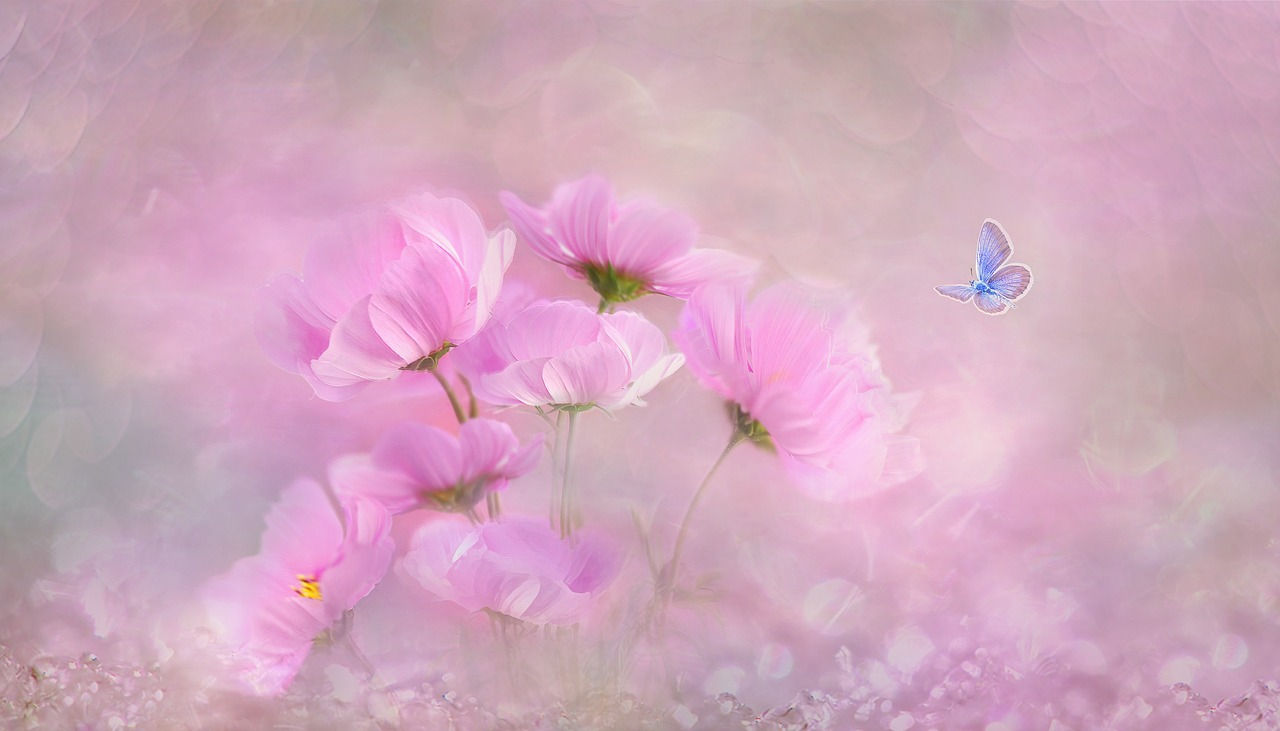 FLOWER IS LOVE FLORIST