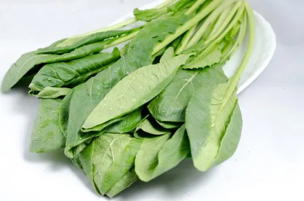 有機小松菜