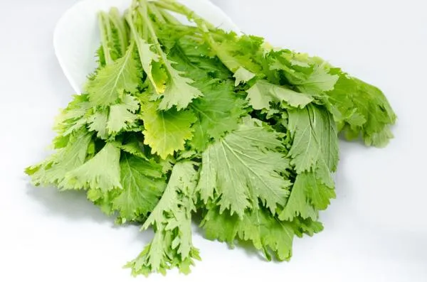 有機雪裡紅(新鮮雪菜)