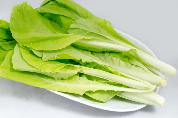 有機小白菜
