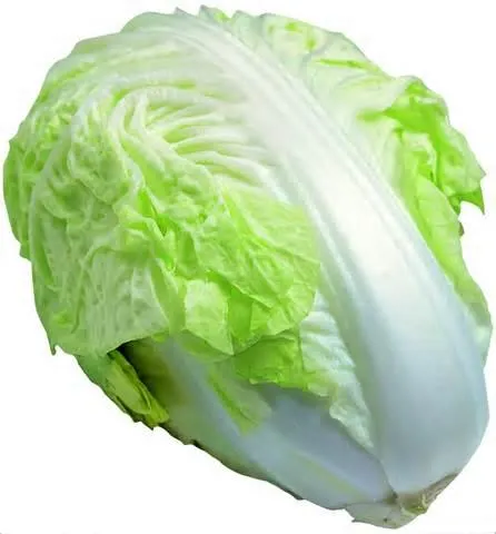 有機高山包心白菜