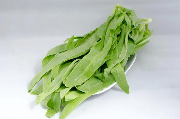 有機尖葉萵苣
